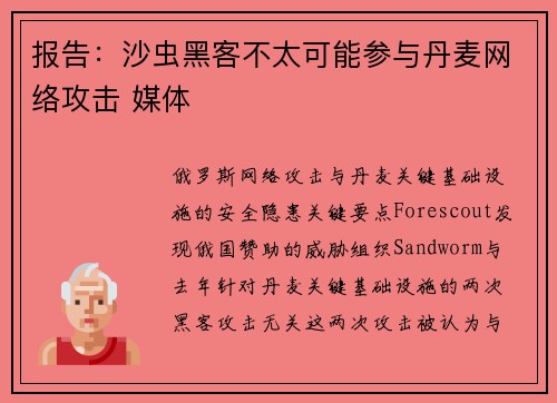 报告：沙虫黑客不太可能参与丹麦网络攻击 媒体